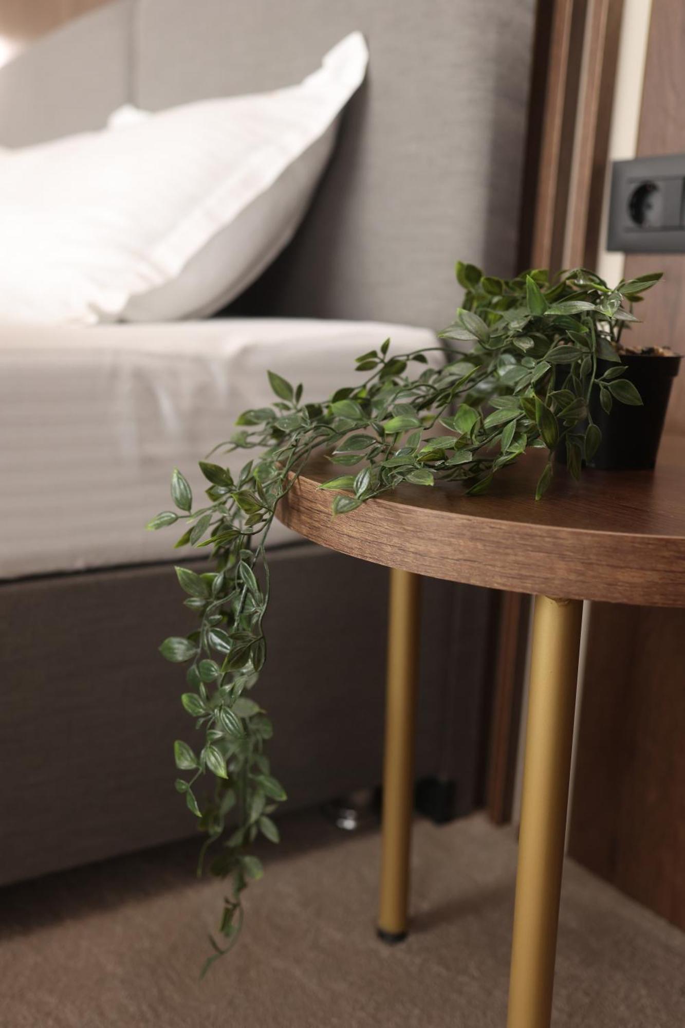 Hotel Sonio Boutique Mamaia